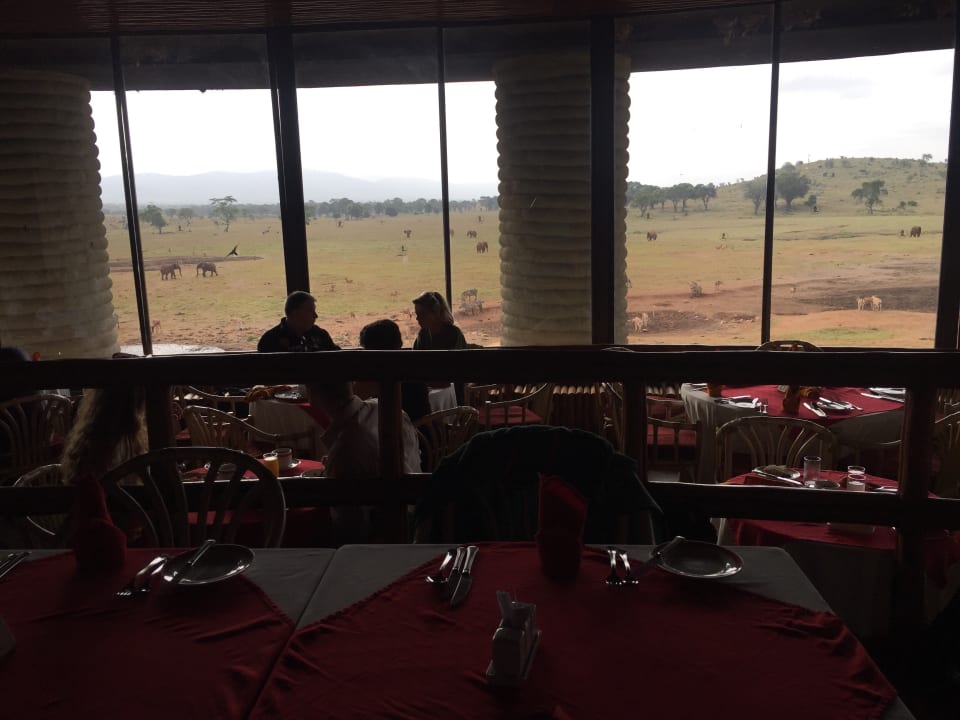 Gastro Salt Lick Safari Lodge