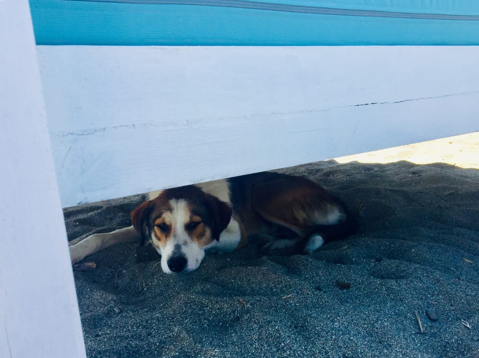 Sonstiges Paralos Lifestyle Beach