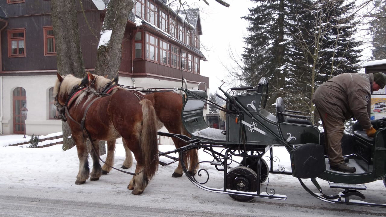 Unser Pferdeschlitten Berghotel Friedrichshöhe
