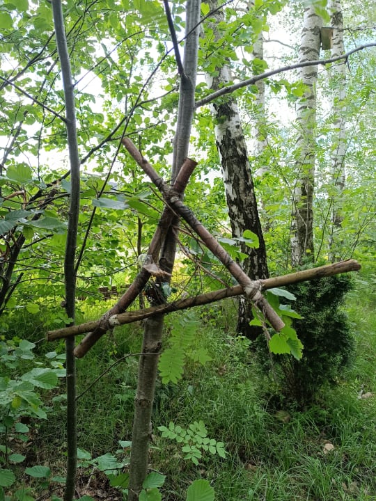 Gartenanlage Spirit & SPA Hotel Birkenhof am Elfenhain