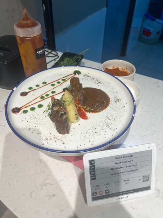 Gastro Seashell Vega