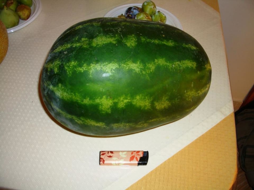 Eine der vielen Melonen Arsinoi Studios