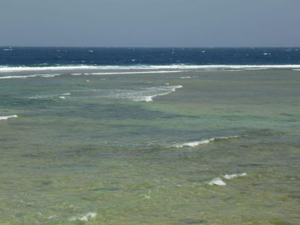 Blick über das Riffdach Mövenpick Resort El Quseir