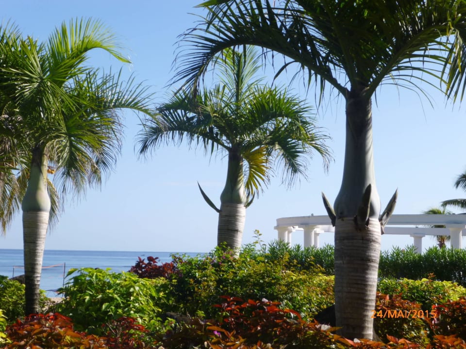 Blick zum Strand Le Meridien Ile Maurice