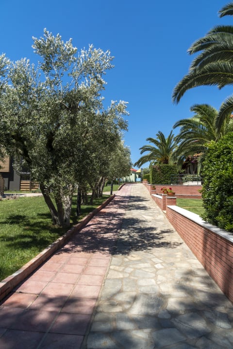 Gartenanlage Blue Dolphin Resort Hotel