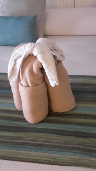 Zimmer Catalonia Royal Tulum Beach & Spa Resort - Adults only