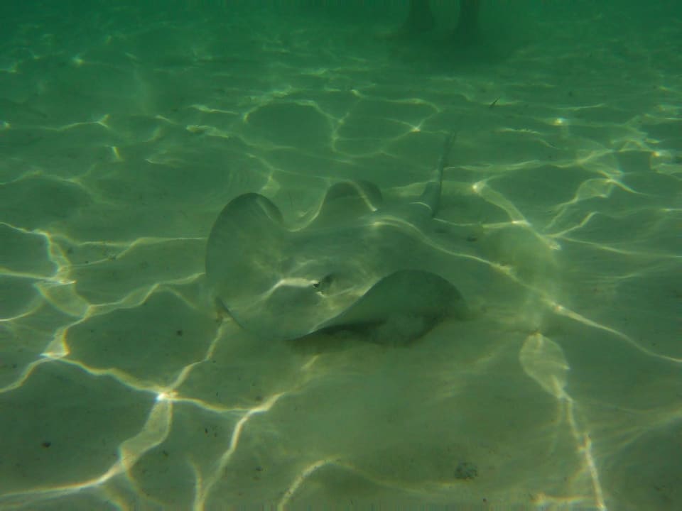 Strand Akumal Bay Beach & Wellness Resort