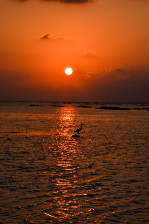 Ausblick Kuredu Island Resort & Spa