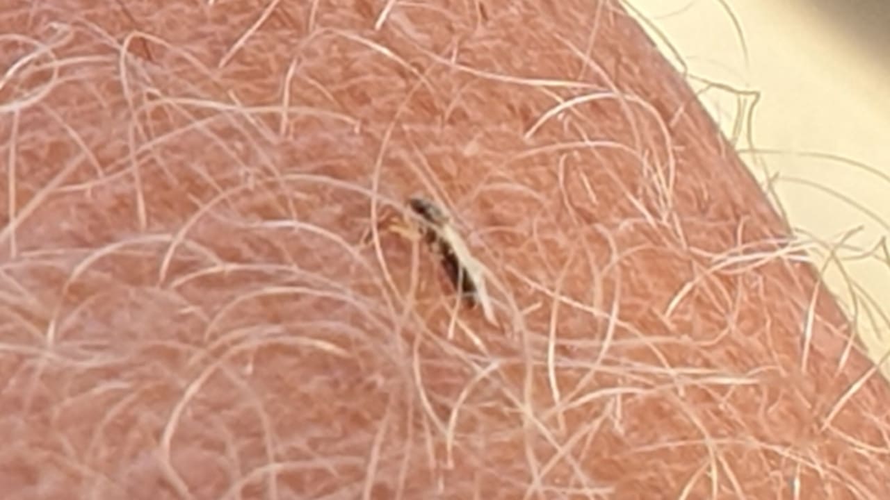 Strand Casa Mare Resort