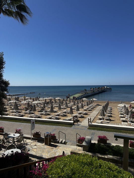 Ausblick Arum Barut Collection
