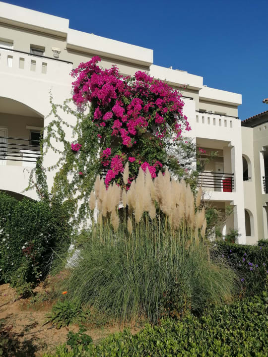 Gartenanlage Vantaris Luxury Beach Resort