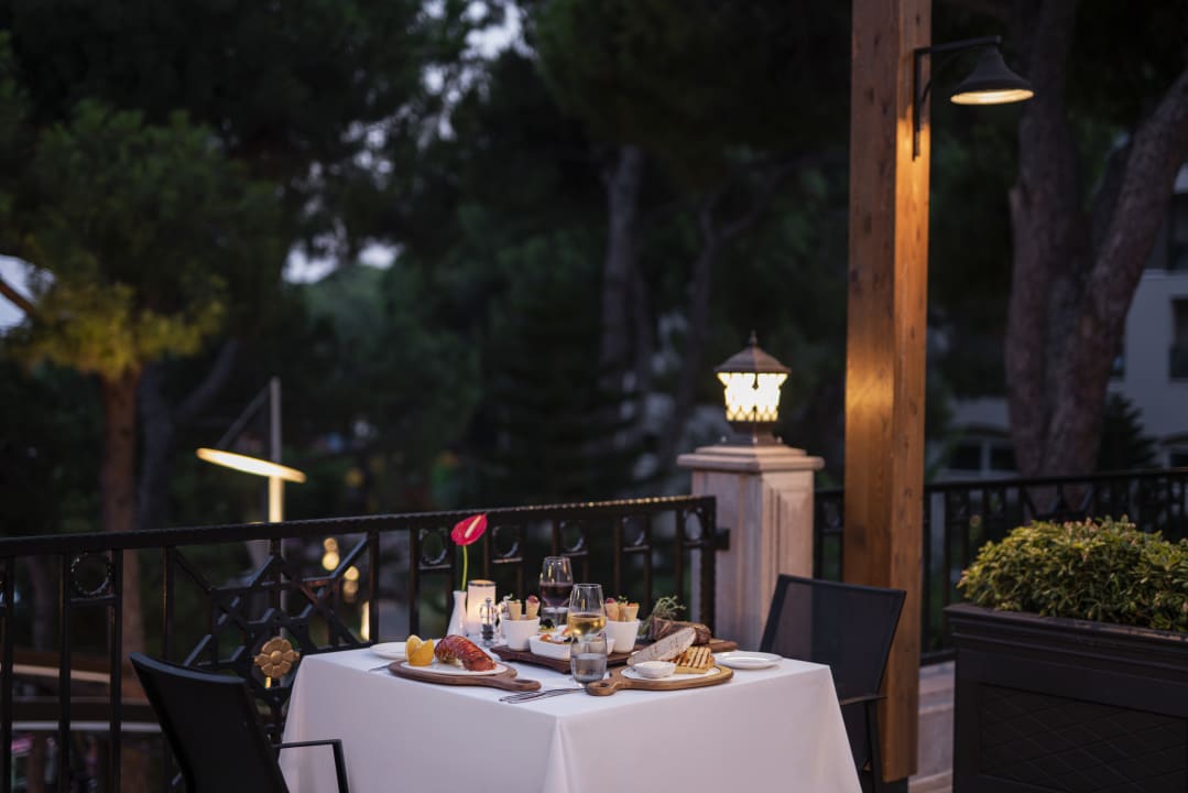 Gastro Papillon Ayscha