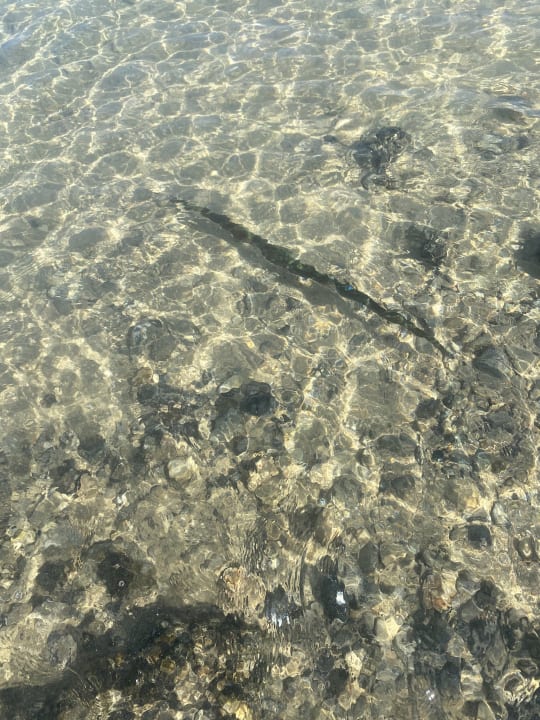 Strand Pickalbatros Villaggio Resort - Portofino