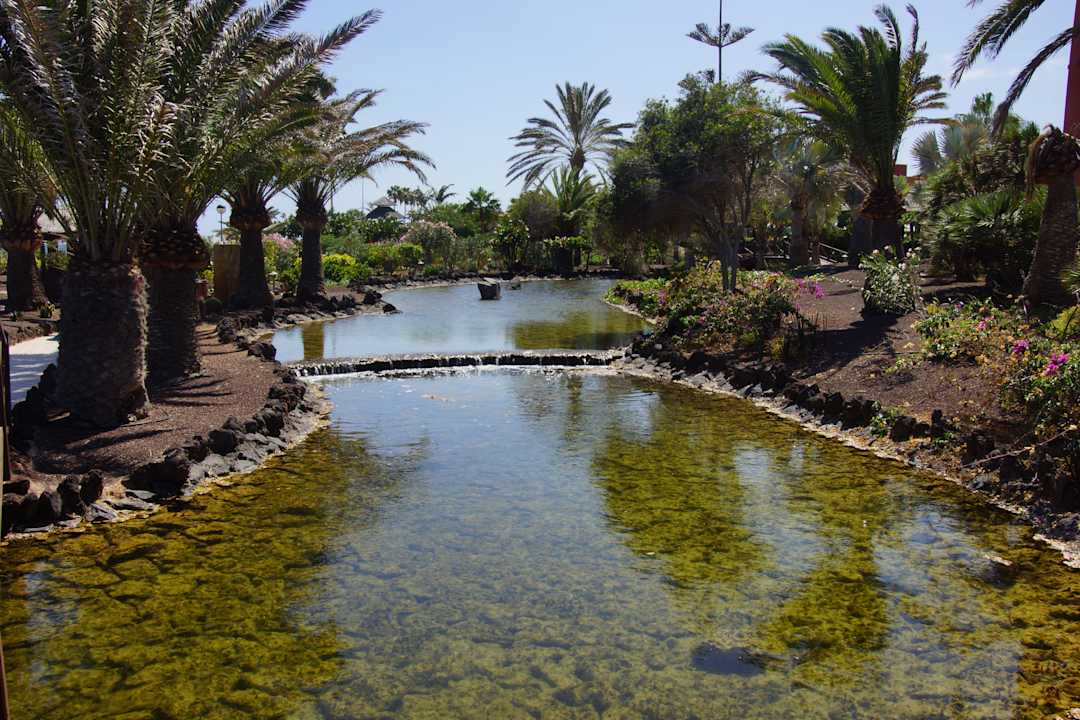 Gartenanlage Sheraton Fuerteventura Golf & Spa Resort