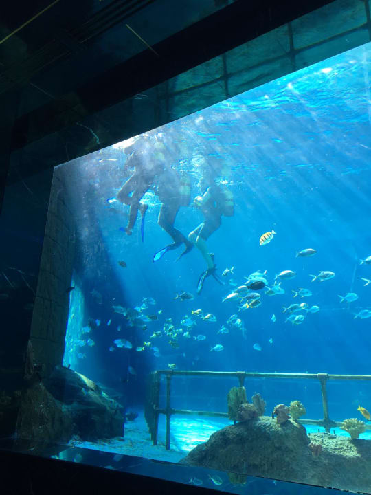 Sonstiges The Land of Legends Kingdom Hotel