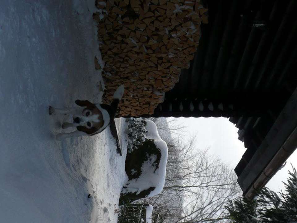 Seitenansicht Montara Suites Bodenmais