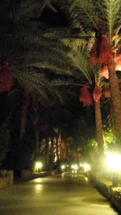 Alejka przy plaży JAZ Mirabel Beach