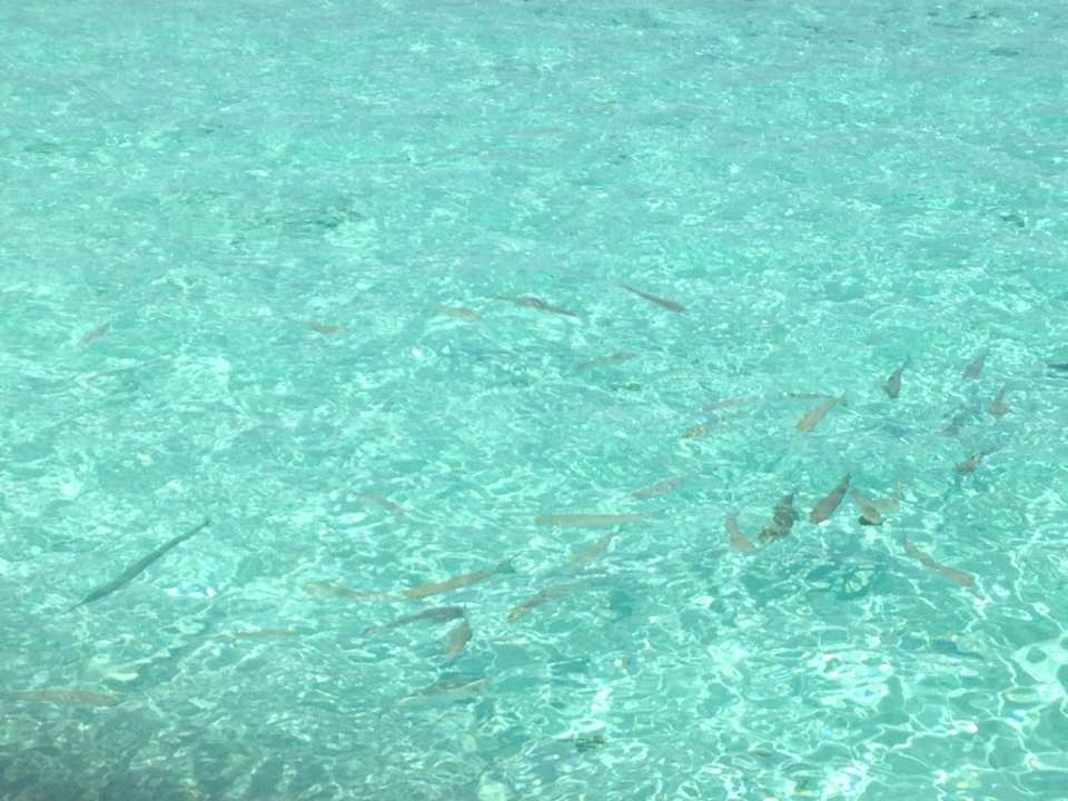 Meer Diamonds Thudufushi