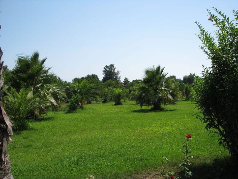 Hotelanlage Ali Bey Club