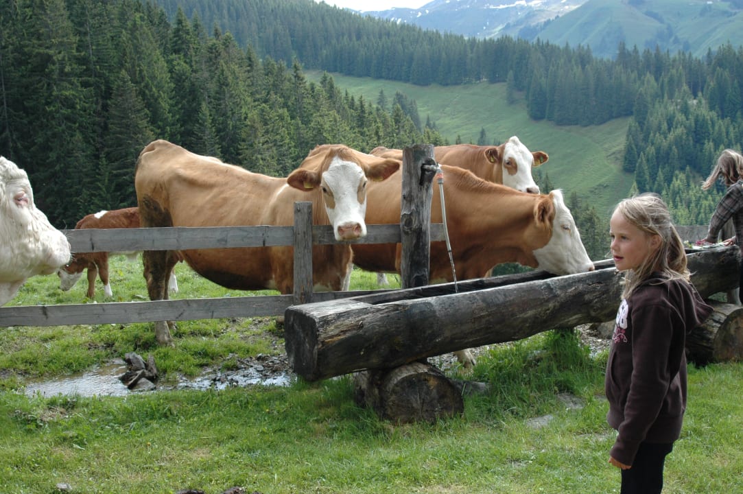 Sonstiges Biobauernhof Schranbachhof