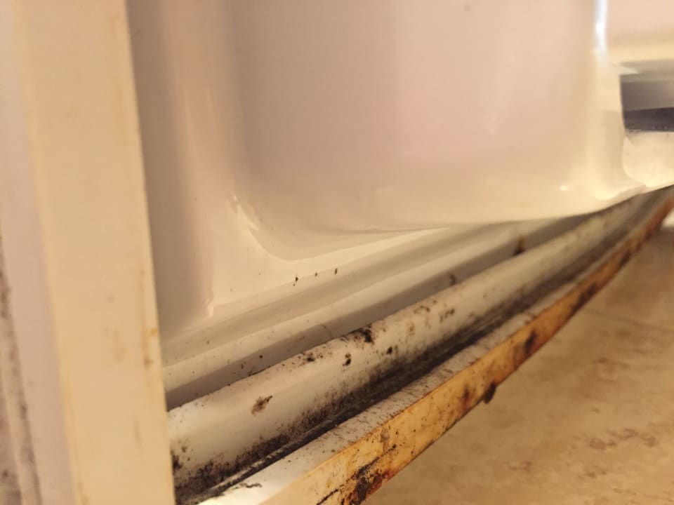 Zimmer allsun App.-Hotel Orient Beach