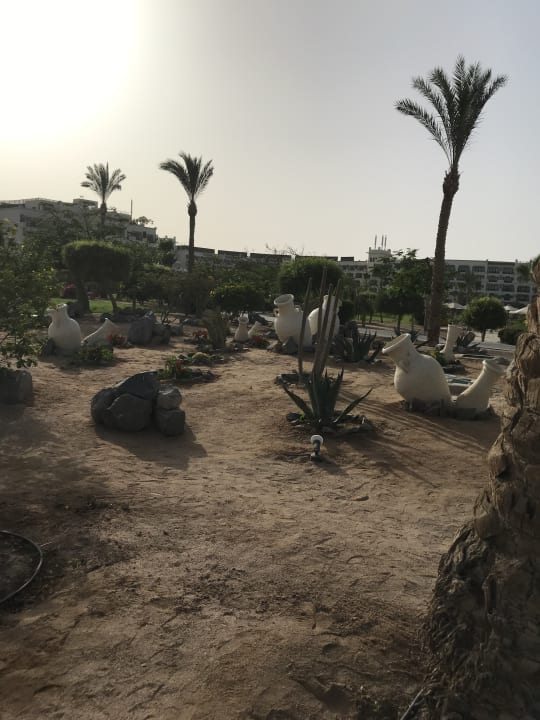 Garten Steigenberger Aqua Magic