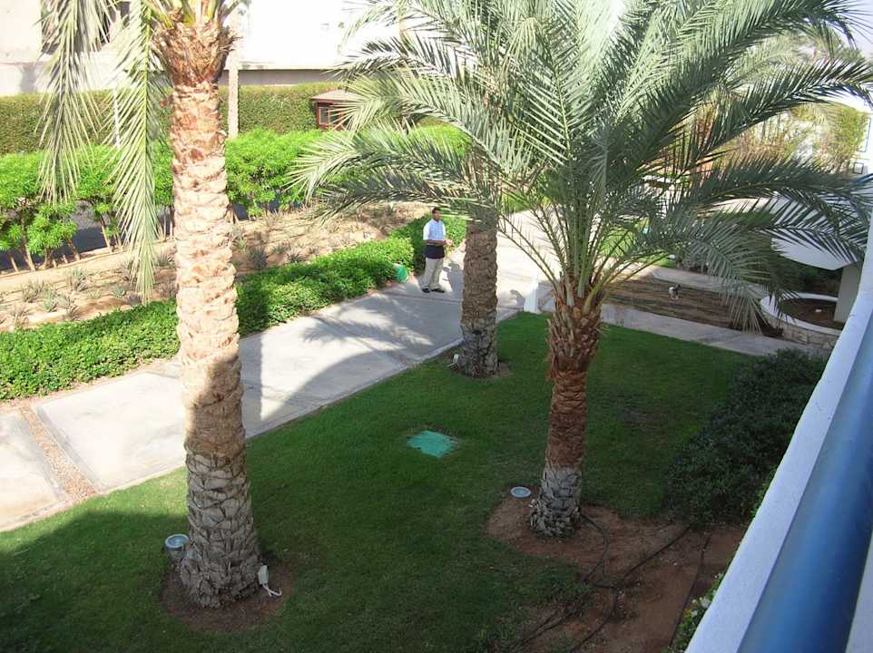 Vor dem Gebäude Reef Oasis Blue Bay Resort