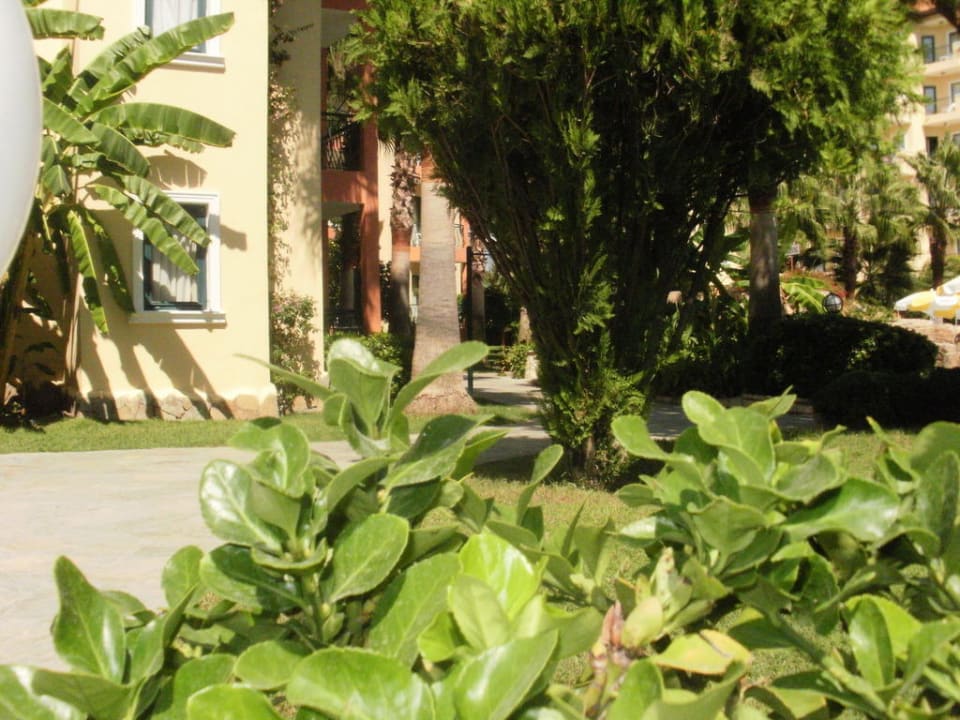 Garten Miramare Queen Hotel