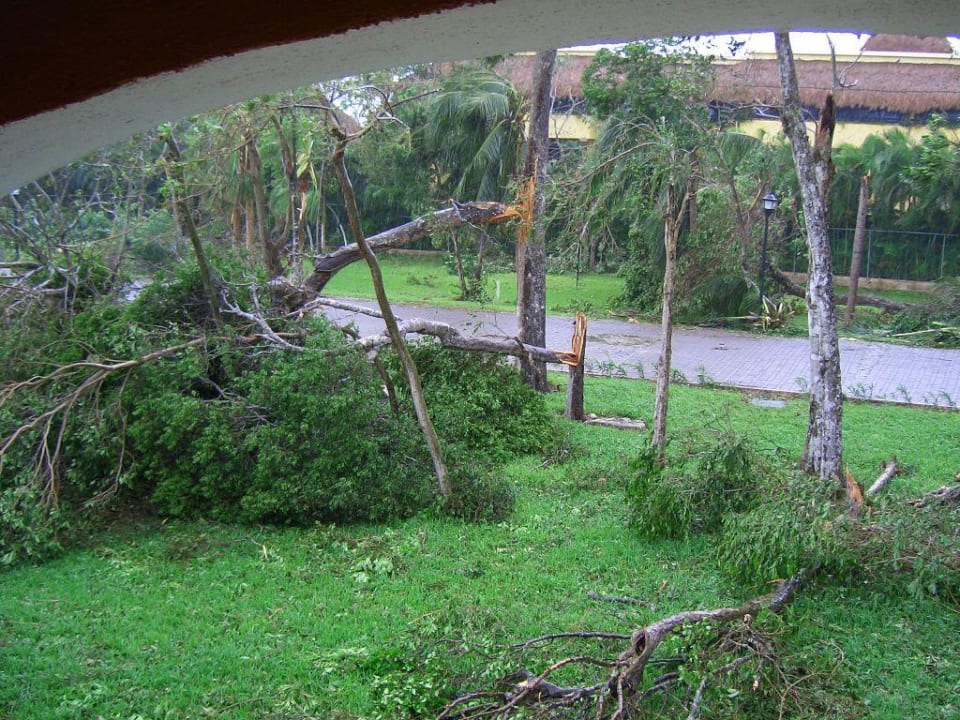 After the Hurricane i2 Sandos Playacar Beach Resort