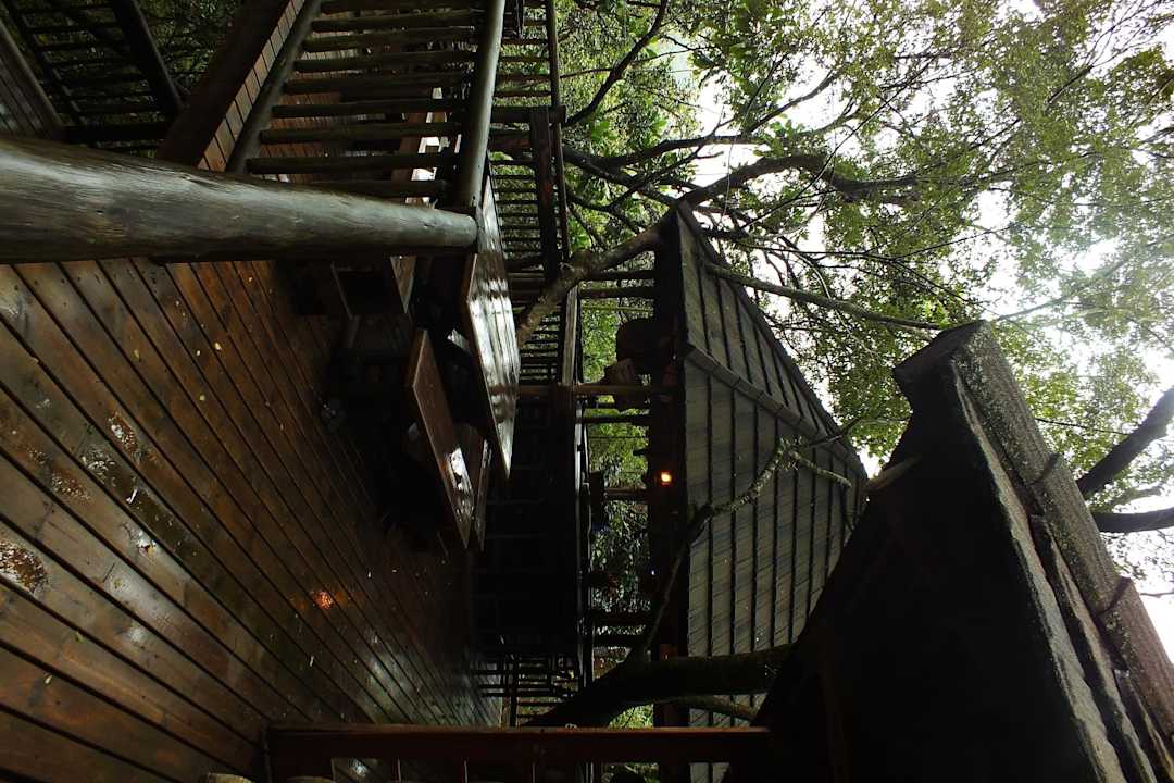 Die coolste Bar Hotel Drifters Hazyview Inn