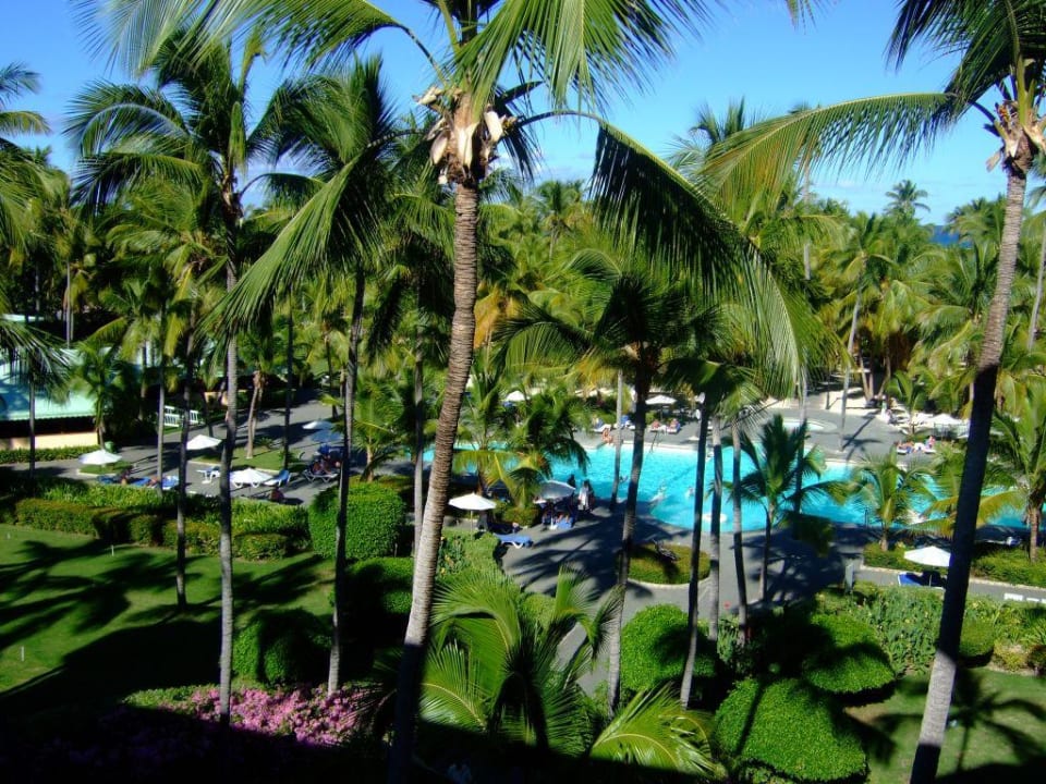 Pool Hotel Riu Palace Macao - Adults only