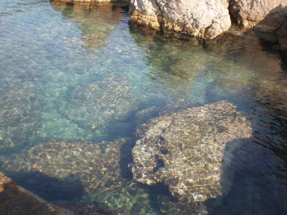 Felsenstrand, glasklares Wasser! Drazica Resort - Hotel Drazica