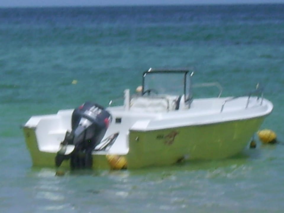 Das Boot Vincci Safira Palms