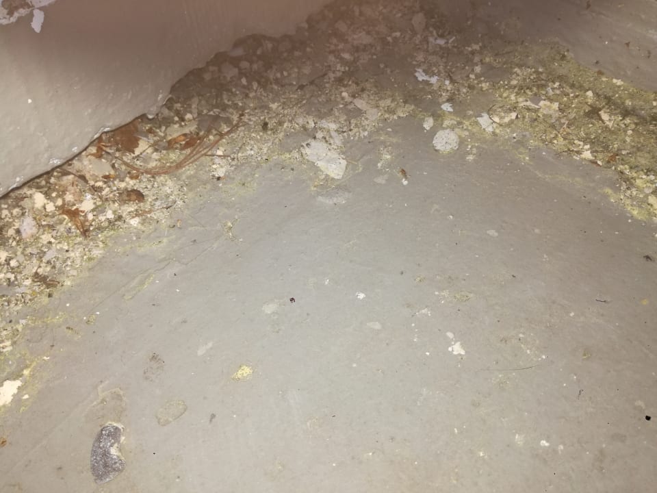 Zimmer Panoramic - Ihr Apartmenthotel im Harz