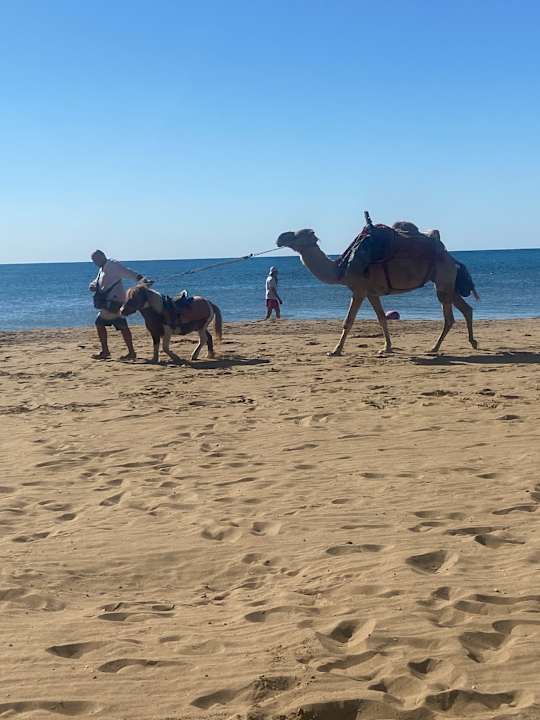Strand Hotel Süral Resort