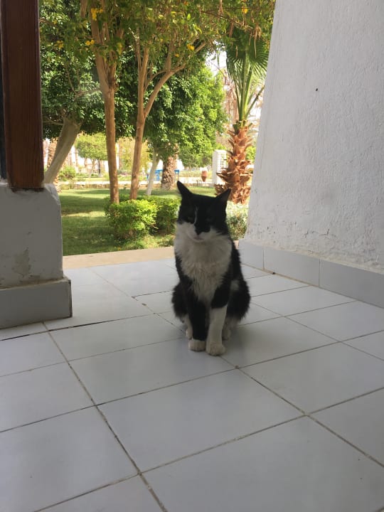 Sonstiges The Grand Hotel Hurghada