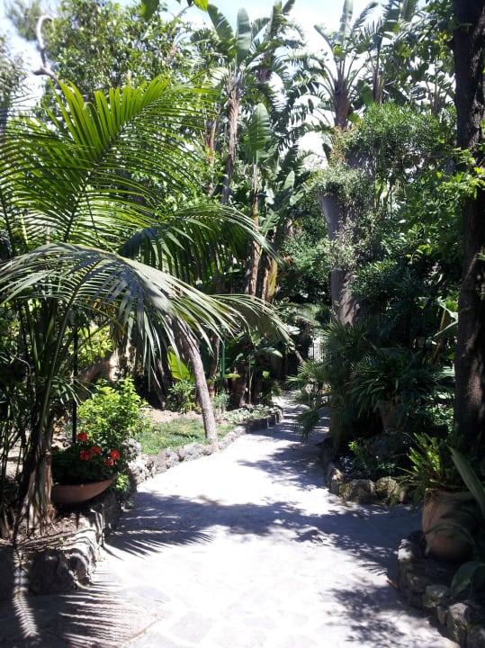 Durch den tropischen Garten Hotel La Villarosa Terme