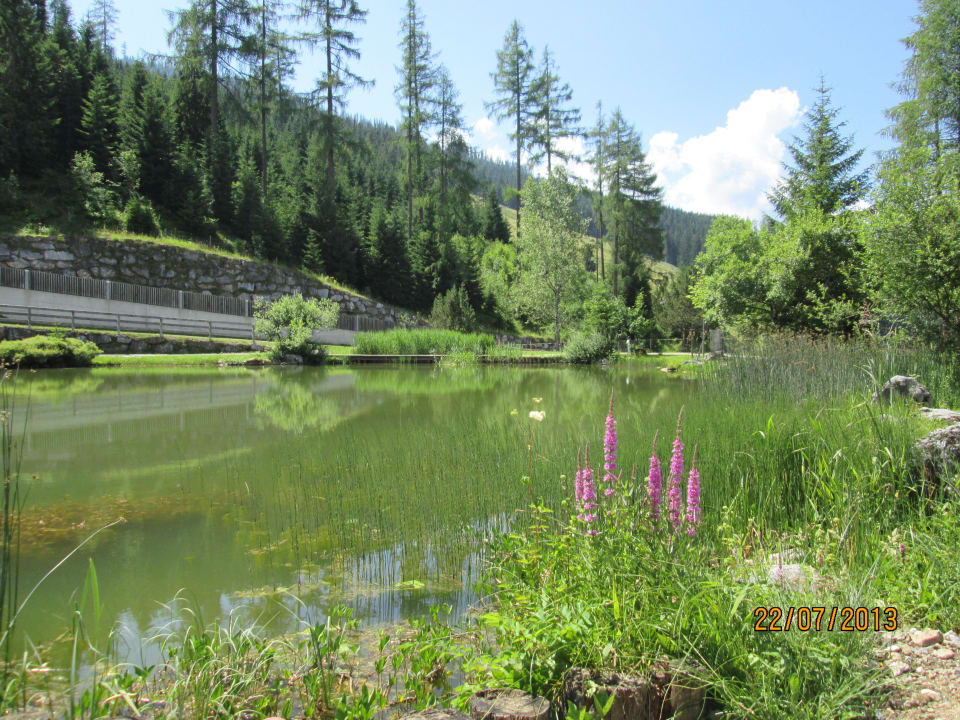 Almsee-Biotop Übergossene Alm Resort