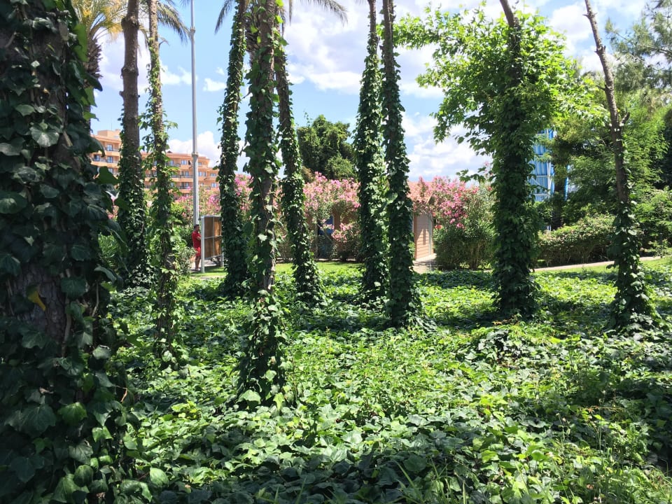 Schön Asteria Family Belek