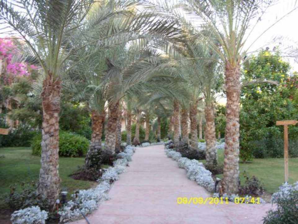 Wunderschöne Wege durch die Anlage Dream Lagoon Resort & Aqua Park