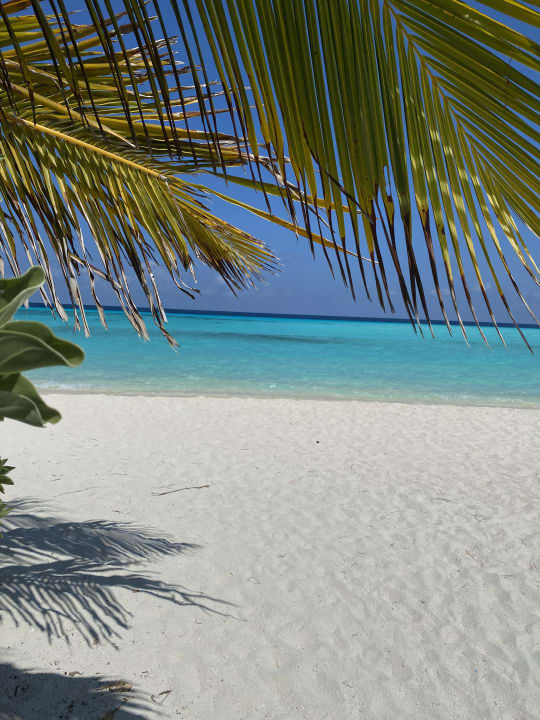 Strand Summer Island Maldives