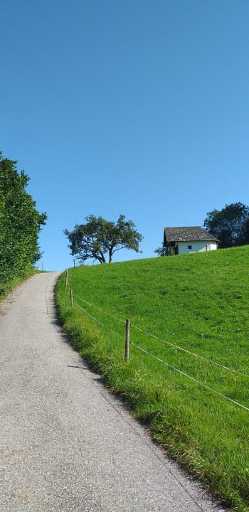 Ausblick Landhotel Maiergschwendt