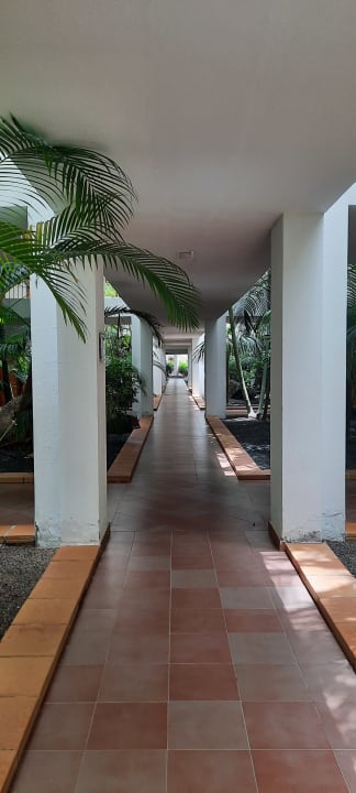 Zimmer Hotel Riu Paraiso Lanzarote