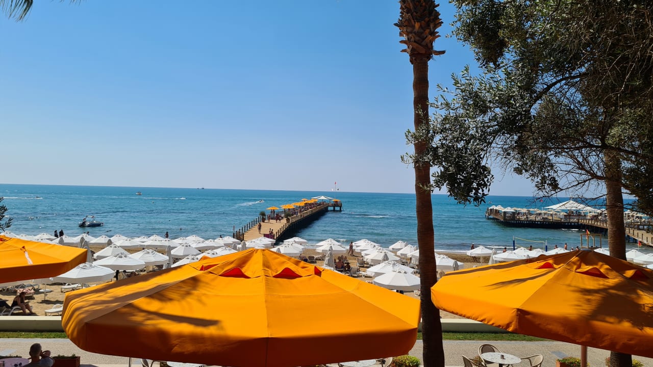Ausblick Arum Barut Collection