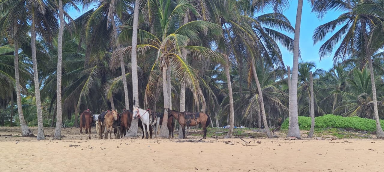 Sport & Freizeit Excellence Punta Cana - Adults only