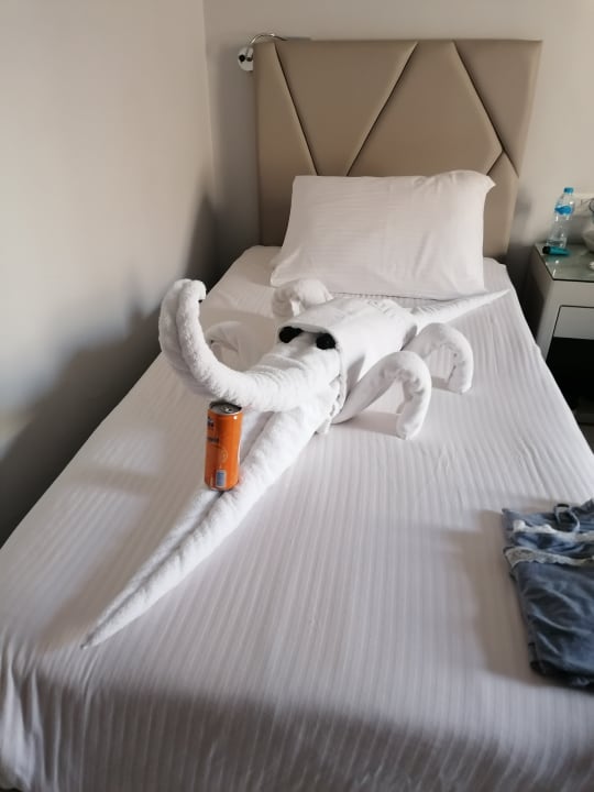 Zimmer SUNRISE Holidays Resort (Adults Only)