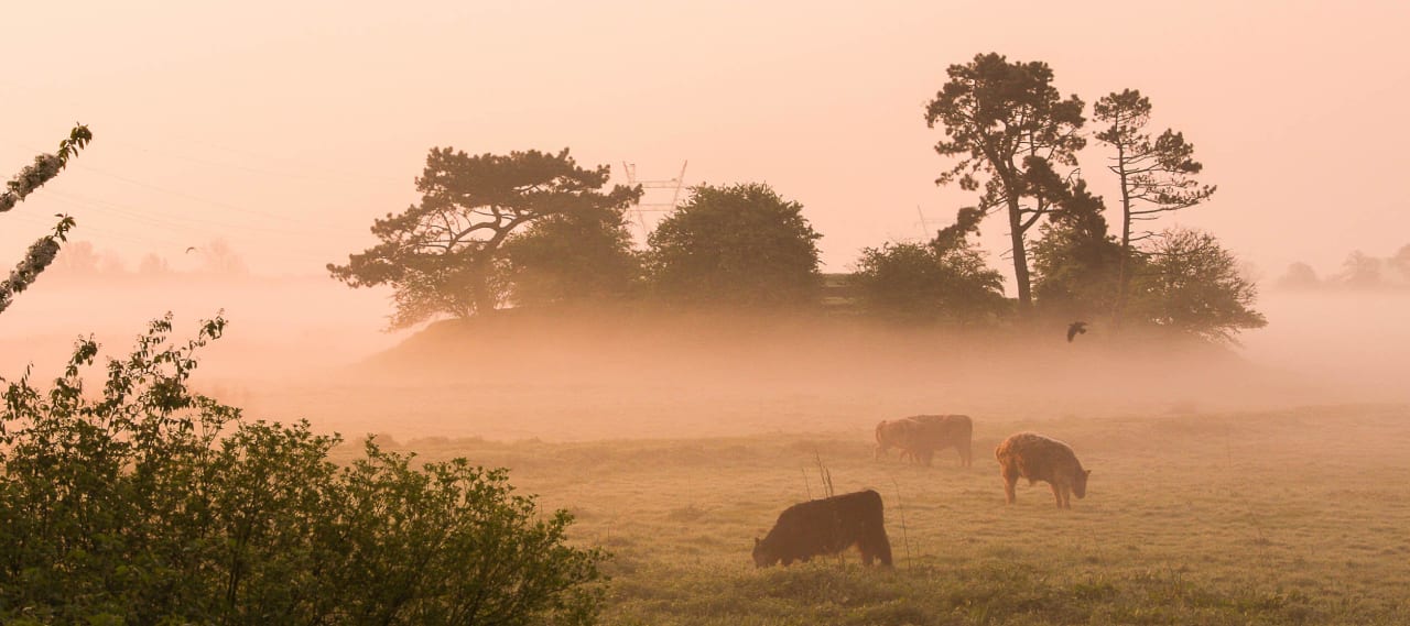 Uitzicht vanuit De Hooiberg Hotel Boerenhofstede de Overhorn