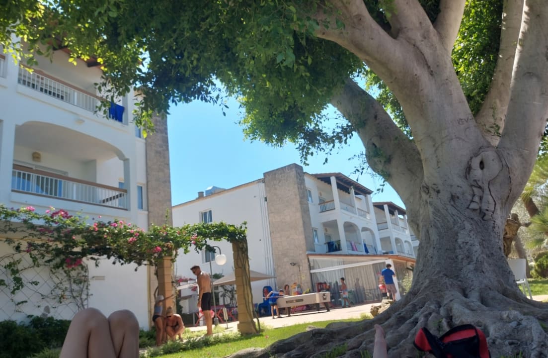 Gartenanlage Alcudia Garden Aparthotel