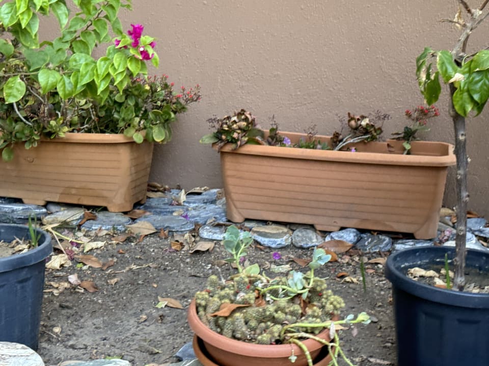 Gartenanlage Seaden Sea World Resort & Spa