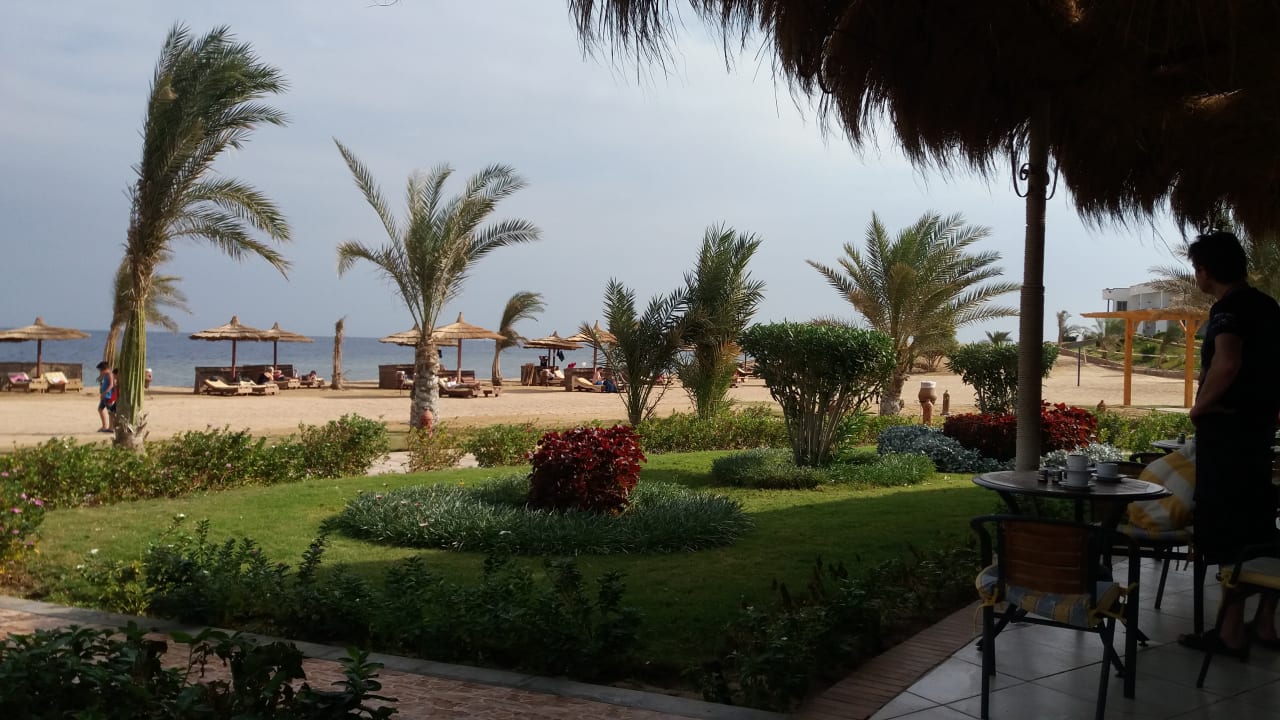 Gartenanlage Coral Sun Beach